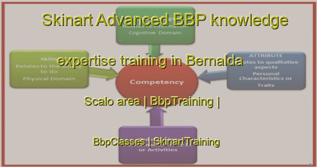 Skinart Advanced BBP knowledge expertise training in Bernalda Scalo area | BbpTraining | BbpClasses | SkinartTraining-Italy